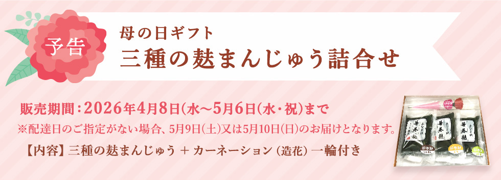 お母さんありがとうキャンペーン